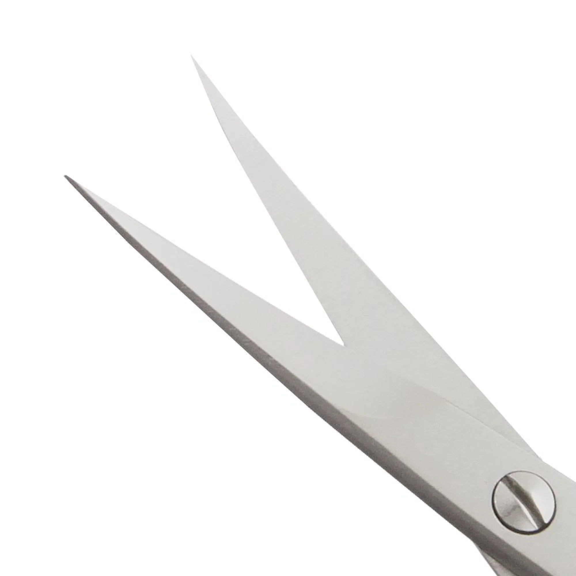 Close-up of a pair of silver scissors on a white background