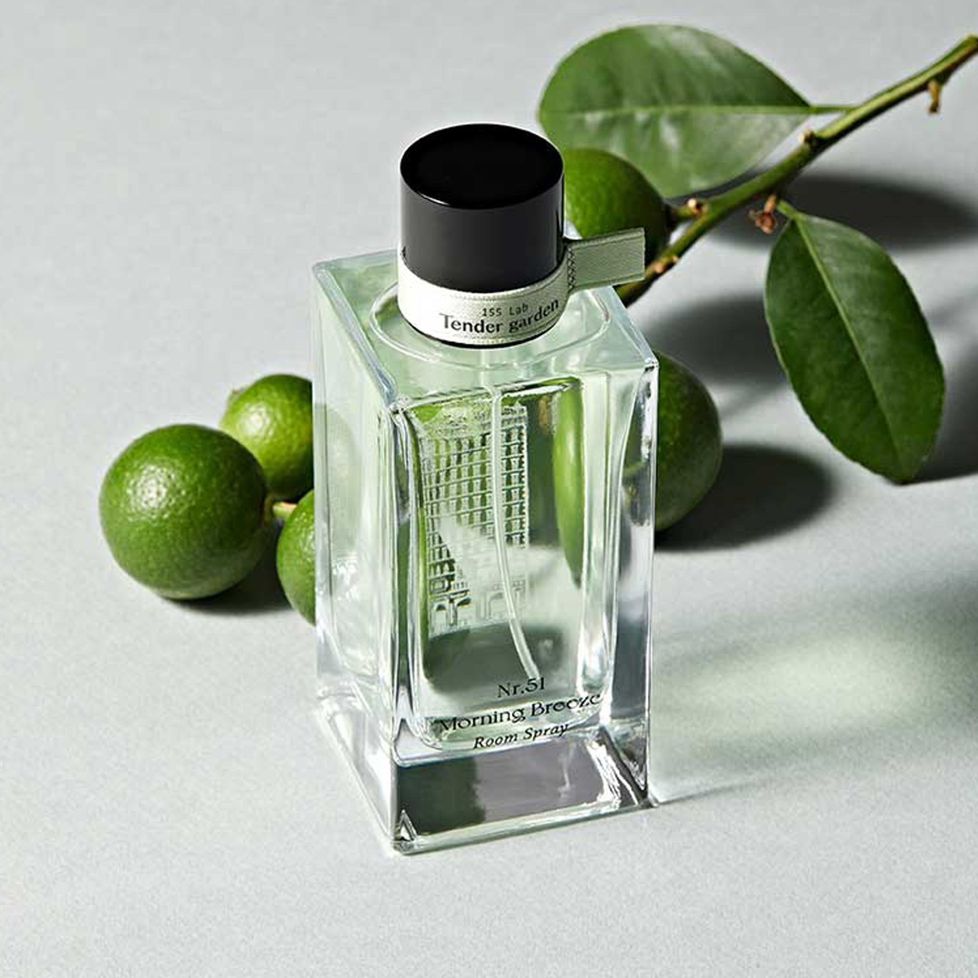 Tender Garden Morning Breeze Room Spray Nr.51 - Filler Lux